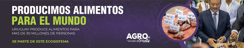 Agro en punta